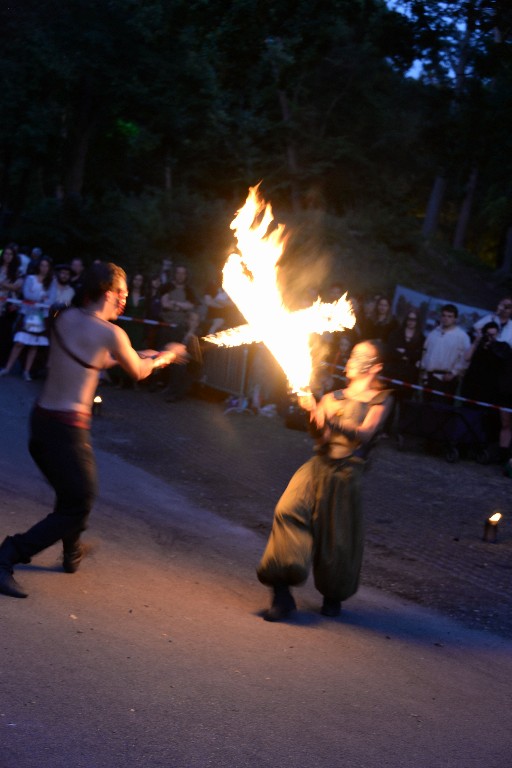 ../Images/Vrijdag Castlefest 2015 299.jpg